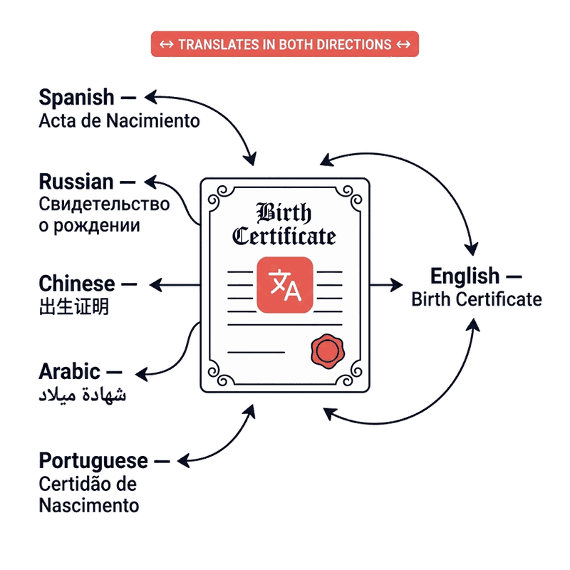 Multilingual birth certificate translation diagram showing five source languages converting into a single certified English document